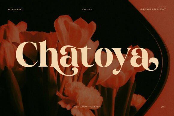 Chatoya Font: A Serif Display Typeface Built for Warmth and Clarity
