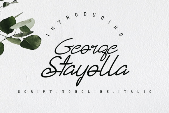 George Stayolla Font: A Modern Handwritten Classic